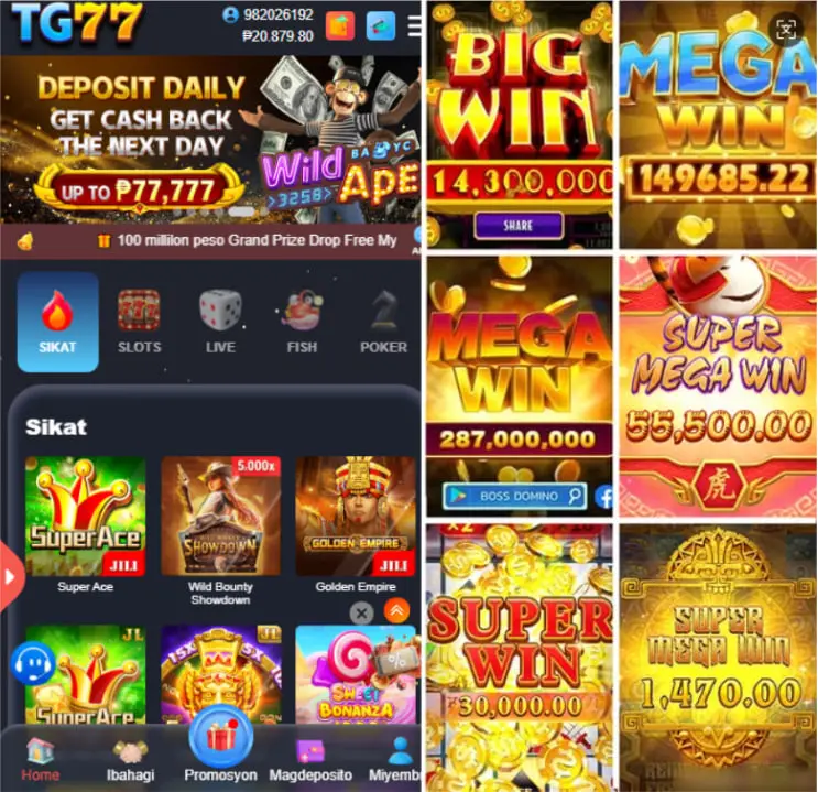 tg77 APK